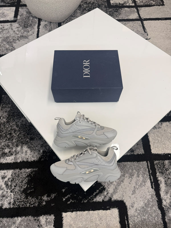 Dior B22 Grey/Silver