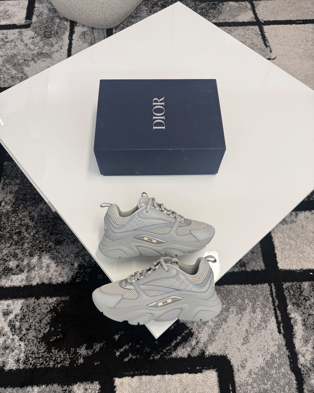 Dior B22 Grey/Silver